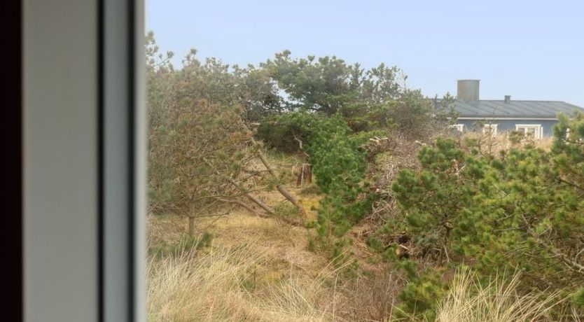 Photo of "Siri" - 400m from the sea