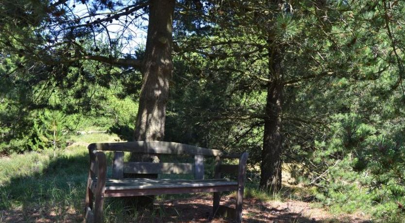 Photo of "Tirsa" - 3.9km from the sea