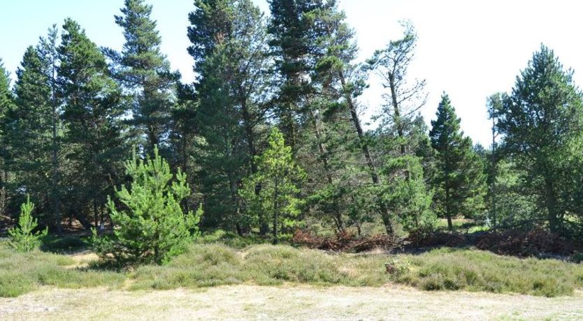 Photo of "Tirsa" - 3.9km from the sea