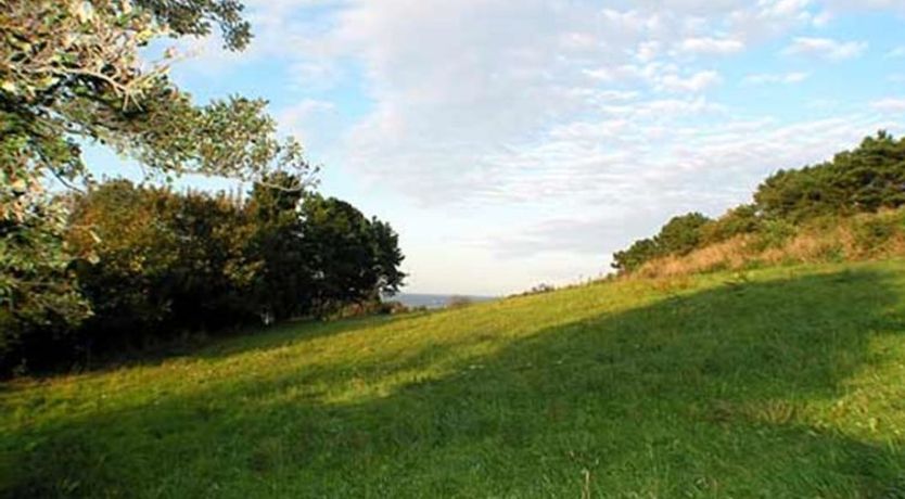 Photo of "Cristiana" - 950m from the sea