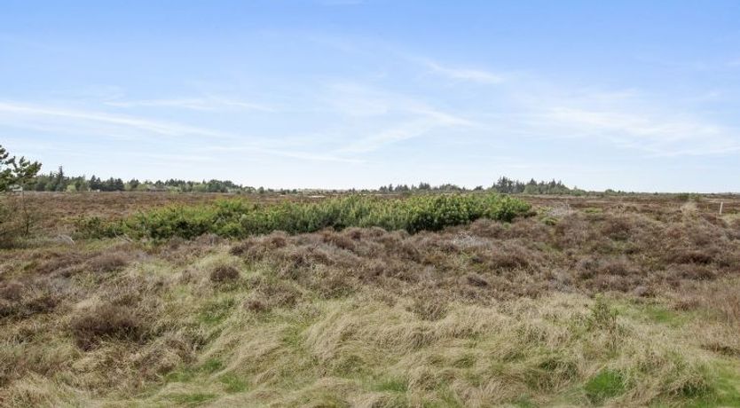 Photo of "Dida" - 3.1km from the sea