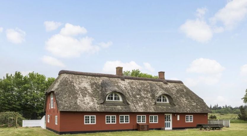 Photo of "Willi" - 3km from the sea