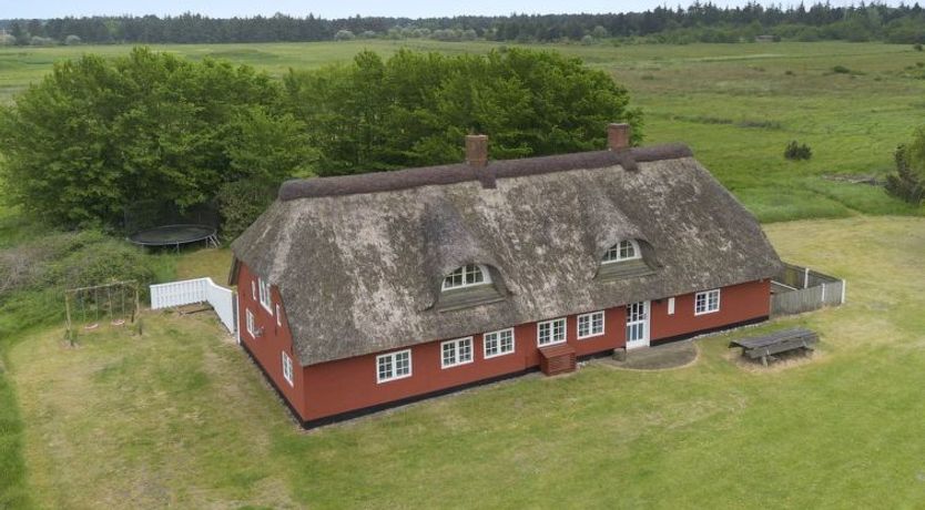 Photo of "Willi" - 3km from the sea