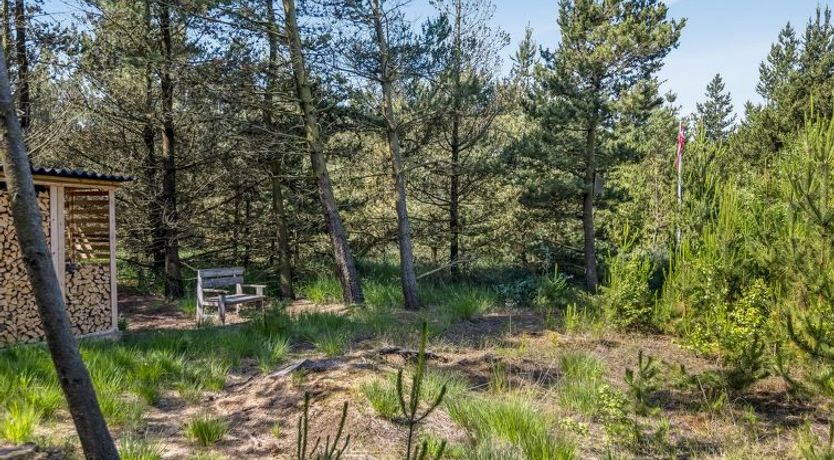 Photo of "Andon" - 2.7km from the sea