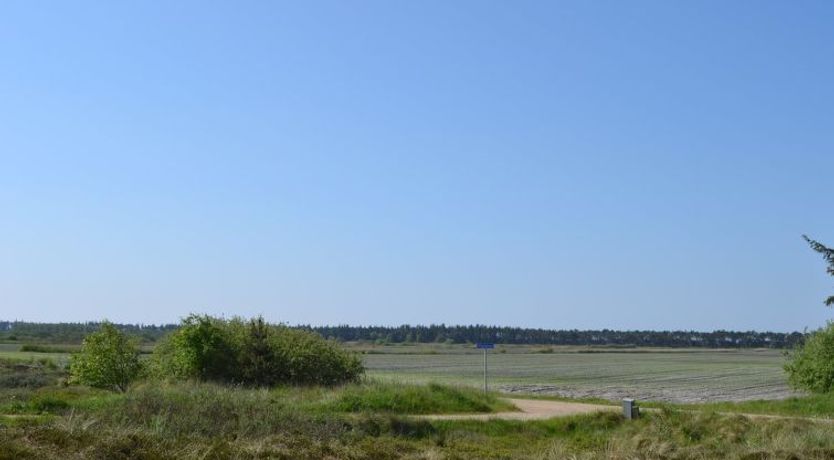 Photo of "Allin" - 1km from the sea