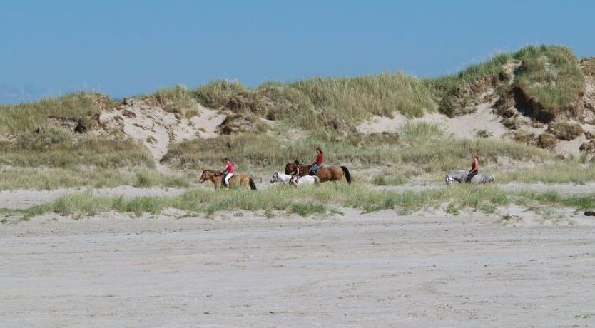 Photo of "Solina" - 500m from the sea