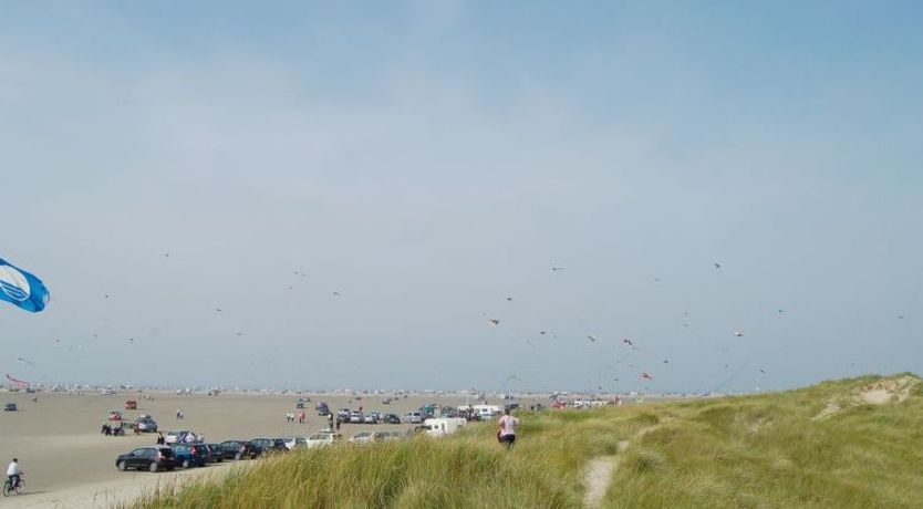 Photo of "Solina" - 500m from the sea