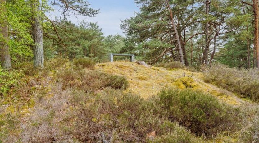 Photo of "Bergulv" - 75m from the sea