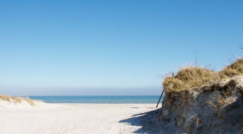 Photo of "Bergulv" - 75m from the sea