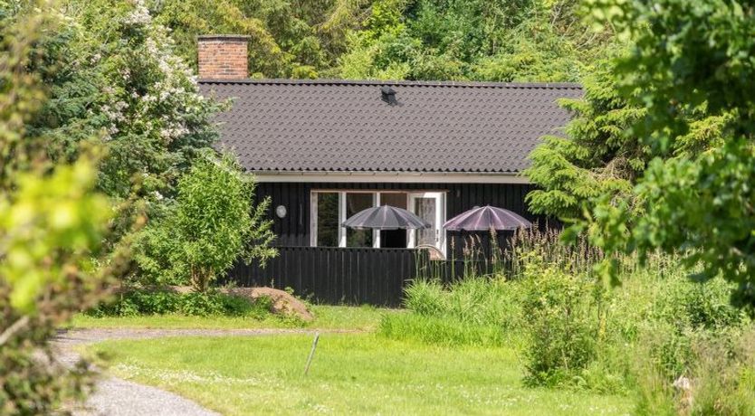 Photo of "Zenitha" - 300m from the sea