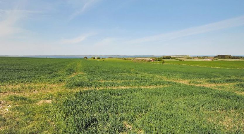 Photo of "Alois" - 1km to the fjord