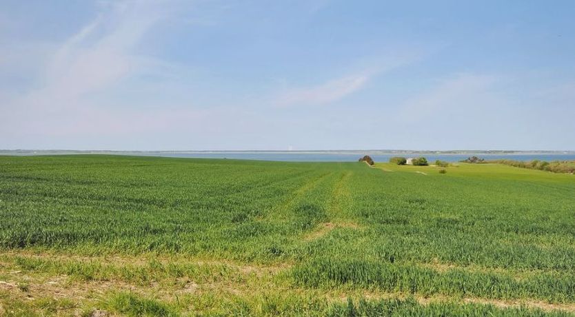 Photo of "Alois" - 1km to the fjord