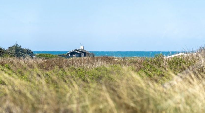 Photo of "Gila" - 250m from the sea