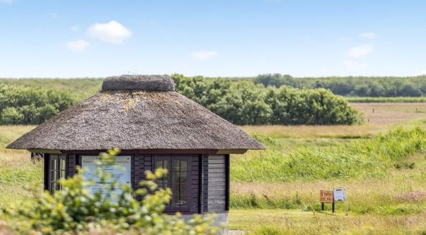 Photo of "Nils" - 2.3km from the sea