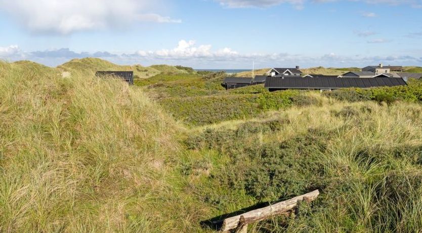 Photo of "Dana" - 290m from the sea