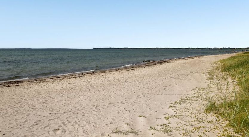 Photo of "Akseline" - 20m from the sea