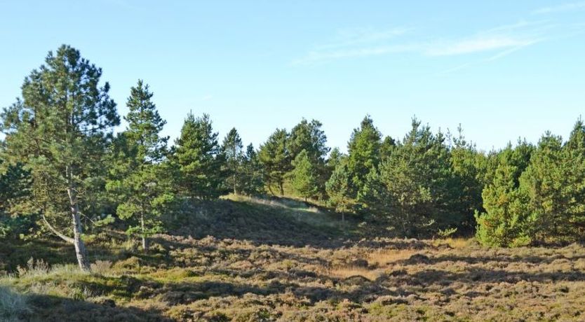 Photo of "Mariette" - 3.1km from the sea