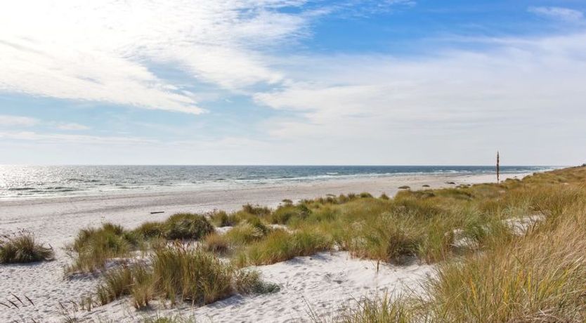 Photo of "Loke" - 300m from the sea