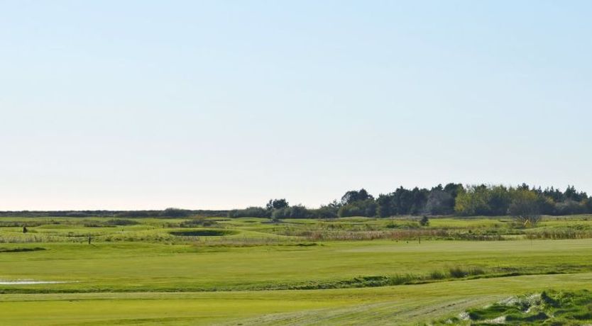 Photo of "Alfa" - 2.3km from the sea