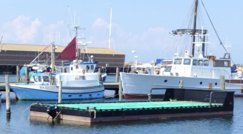 Photo of "Line" - 10m from the sea