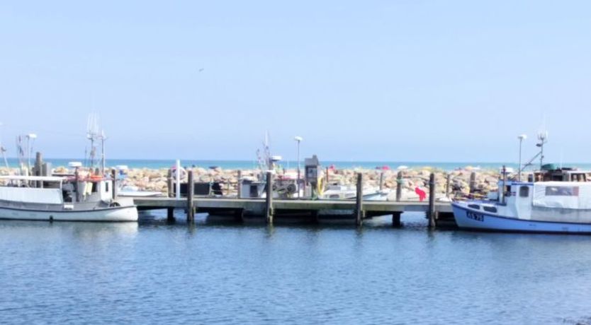 Photo of "Line" - 10m from the sea