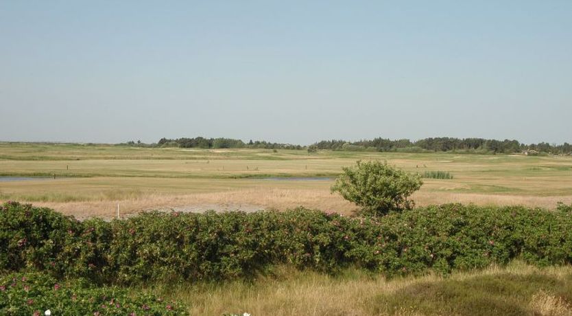 Photo of "Ennike" - 2.3km from the sea