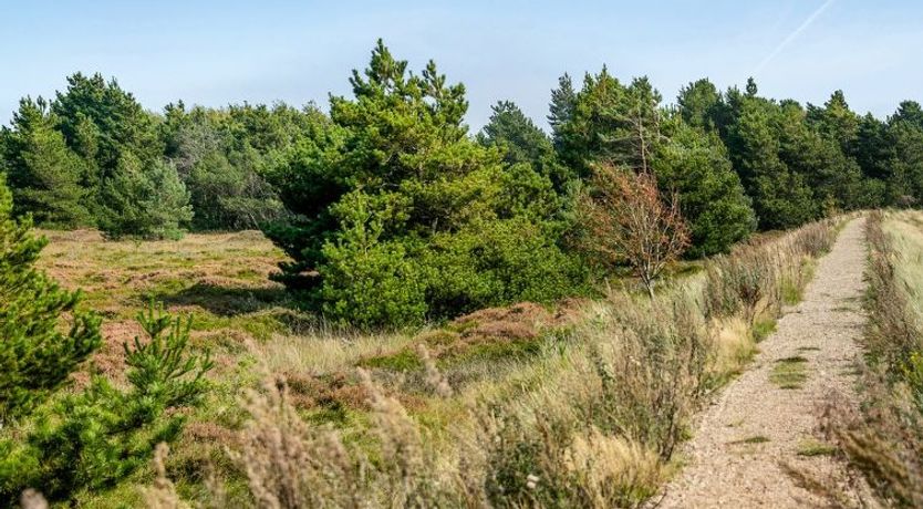 Photo of "Gabriela" - 1km from the sea