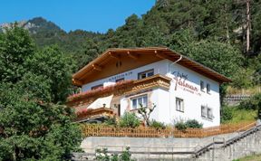 Photo of Palman