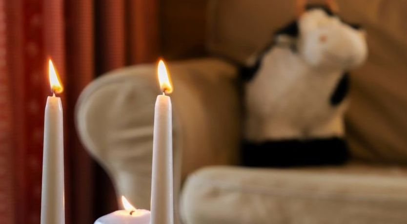 Photo of Terrasses du Paradis 5B