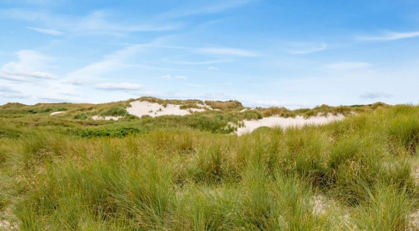 Photo of "Nicolaus" -  from the sea