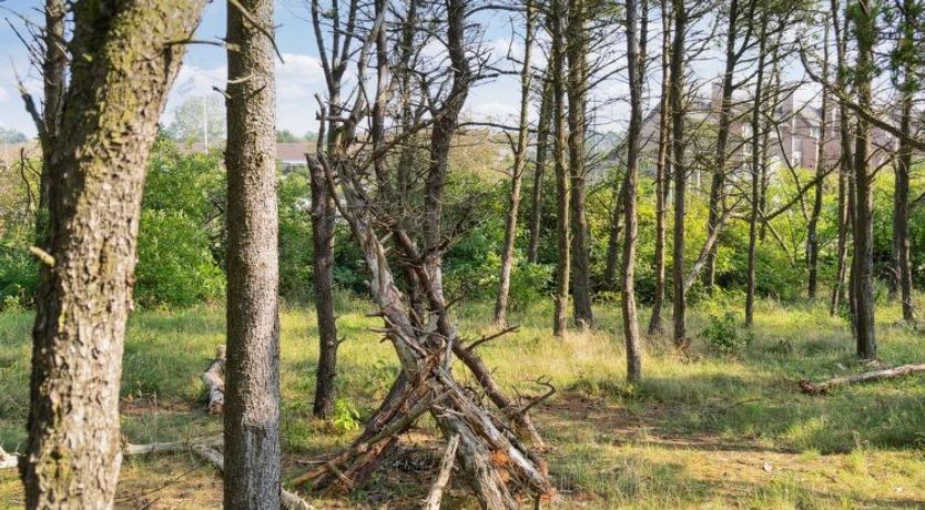 Photo of "Byriel" - 2.3km from the sea