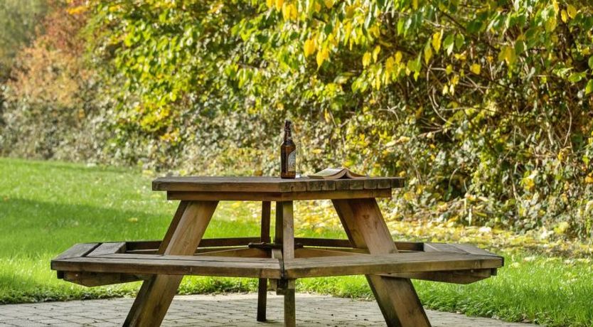 Photo of "Babette" - 75m to the fjord