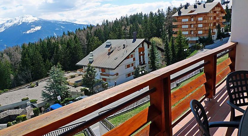 Photo of Grand Large A 18