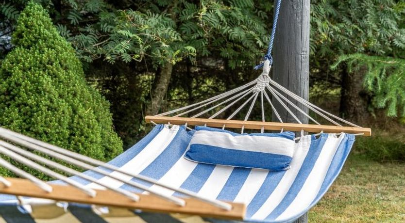 Photo of "Dimo" - 700m from the sea