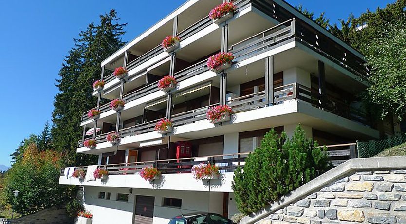 Photo of Yuca B Apt. 28 Apartment 2