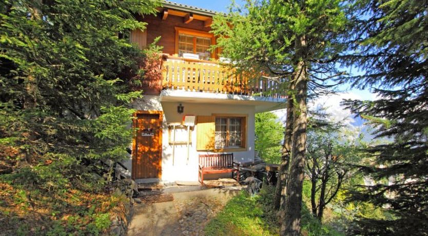 Photo of Dejo A Dzeu