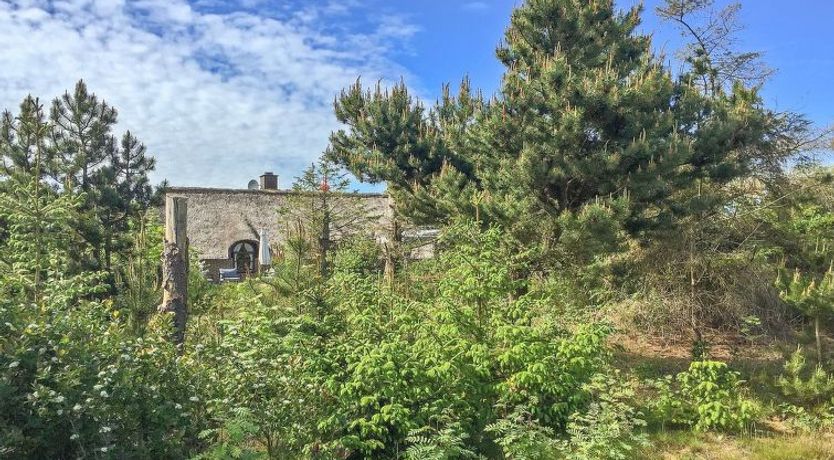 Photo of "Ilva" - 300m to the fjord