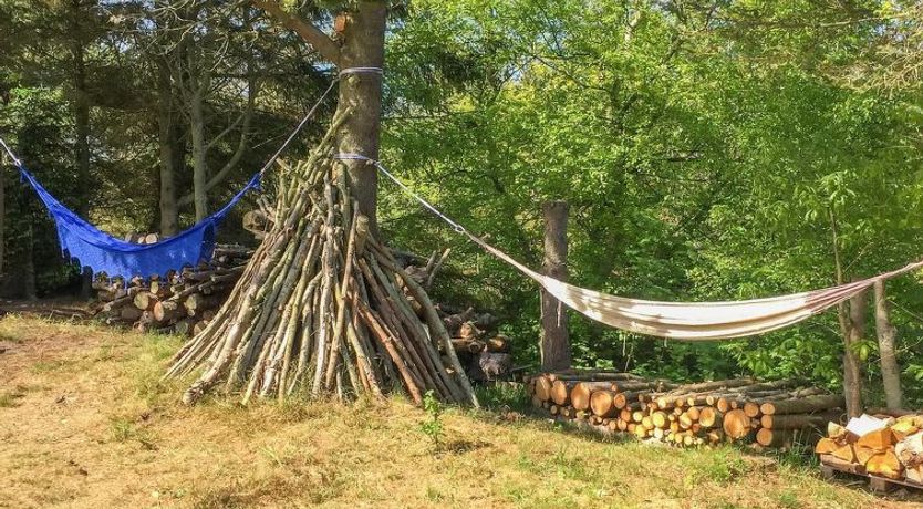 Photo of "Ilva" - 300m to the fjord