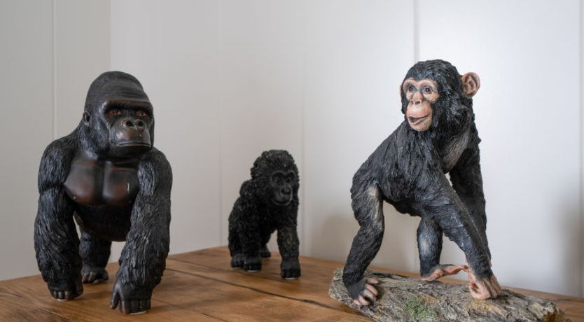 Photo of Loch Leven Lodge 25 East