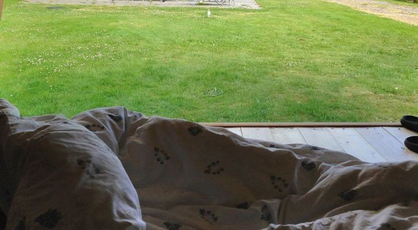 Photo of "Elni" - 900m from the sea