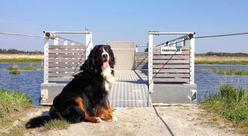 Photo of "Elis" - 90m to the fjord