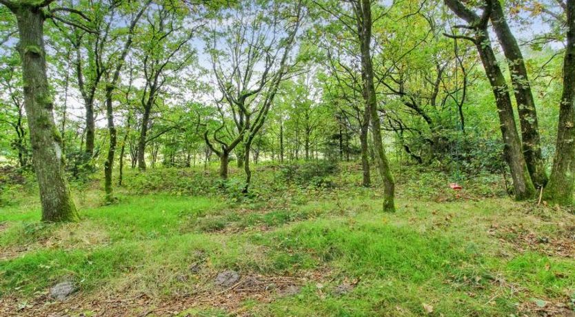 Photo of "Ellica" - 50km from the sea