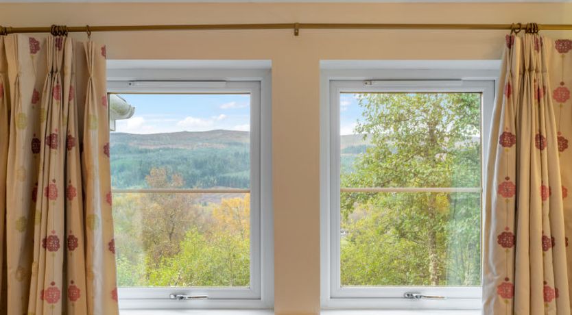 Photo of Silver Birch