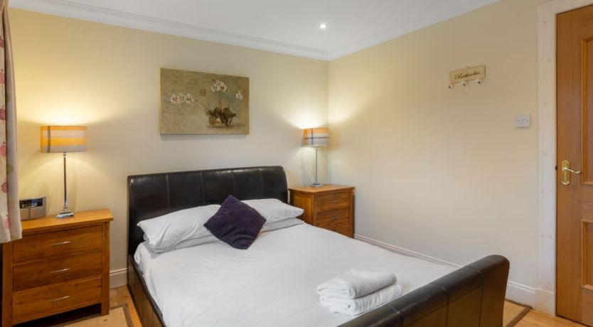 Photo of Silver Birch