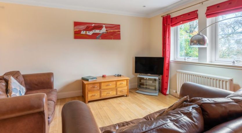 Photo of Silver Birch