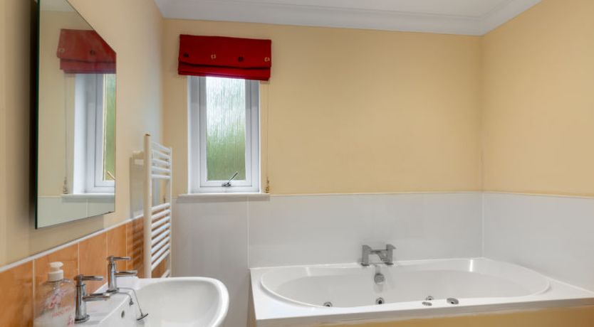 Photo of Silver Birch