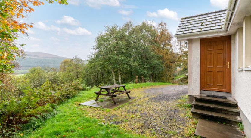 Photo of Silver Birch