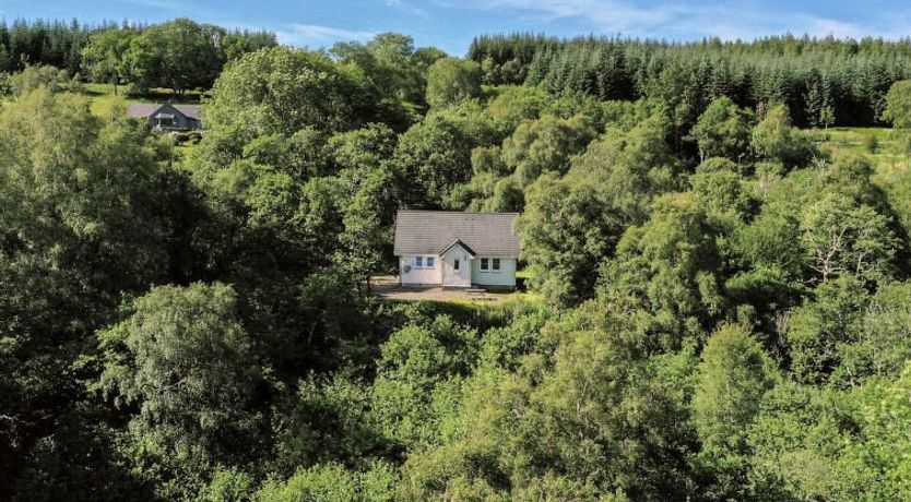 Photo of Silver Birch