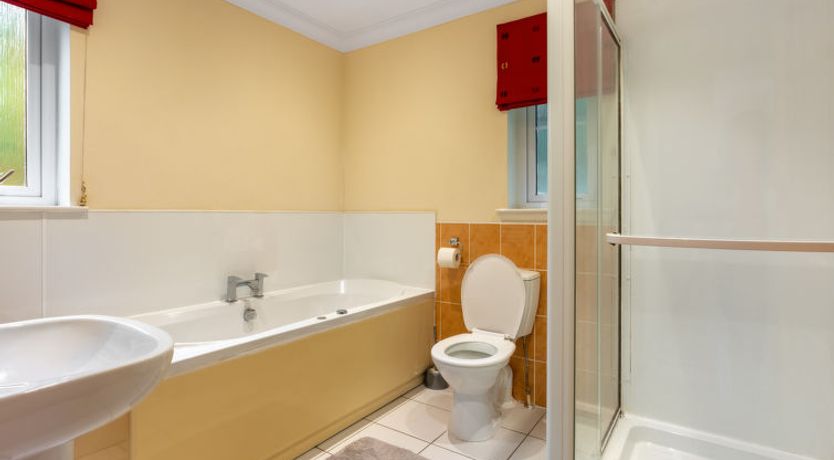 Photo of Silver Birch