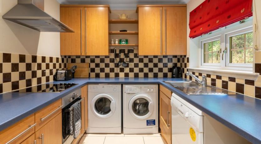 Photo of Silver Birch